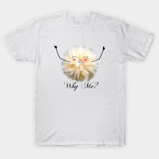 "Why Me?" Fluff ball T-Shirt